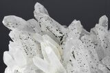 Quartz and Pyrite Association - Pyrite Crystal Inclusions! #178365-4